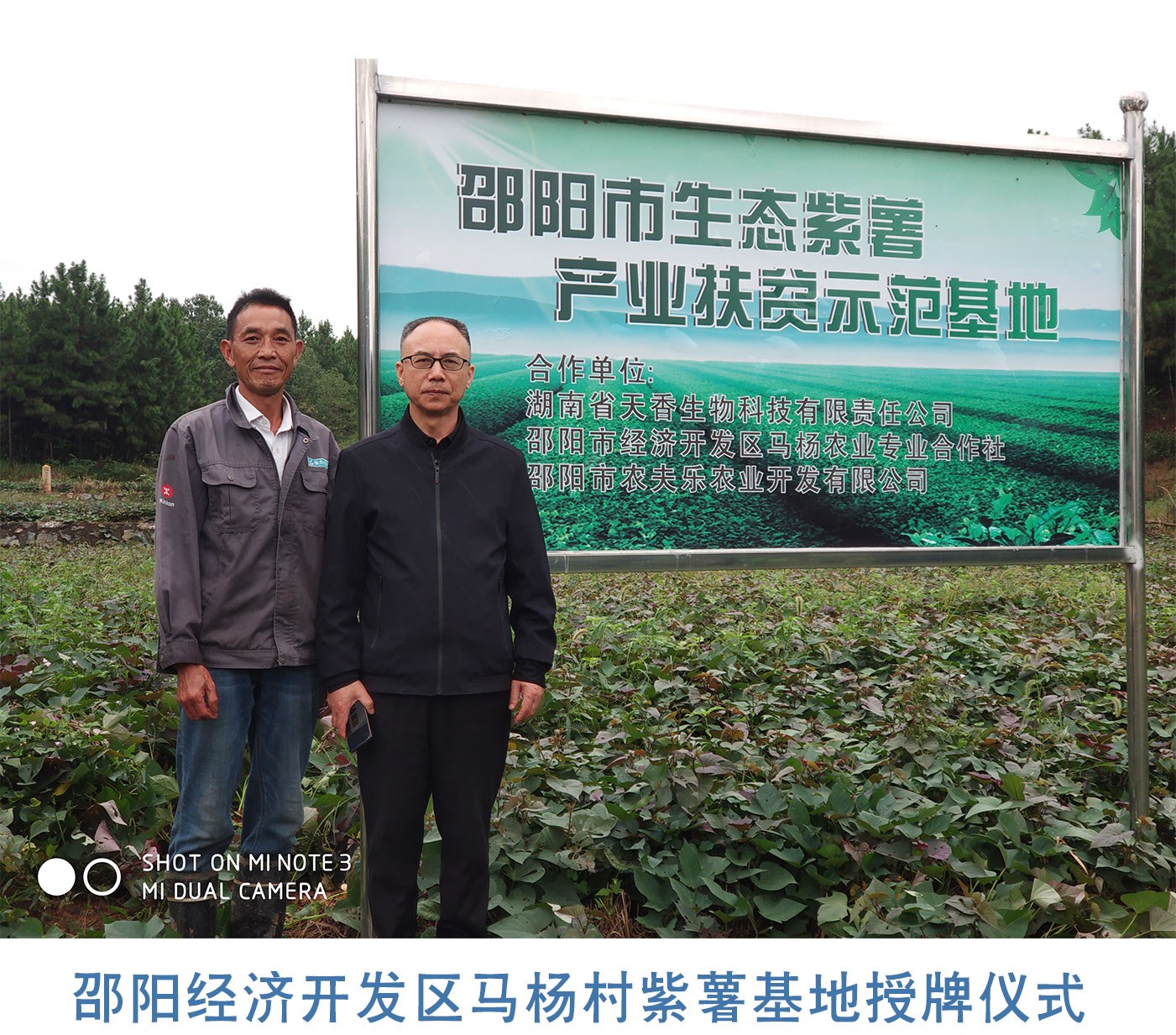 產(chǎn)業(yè)帶動