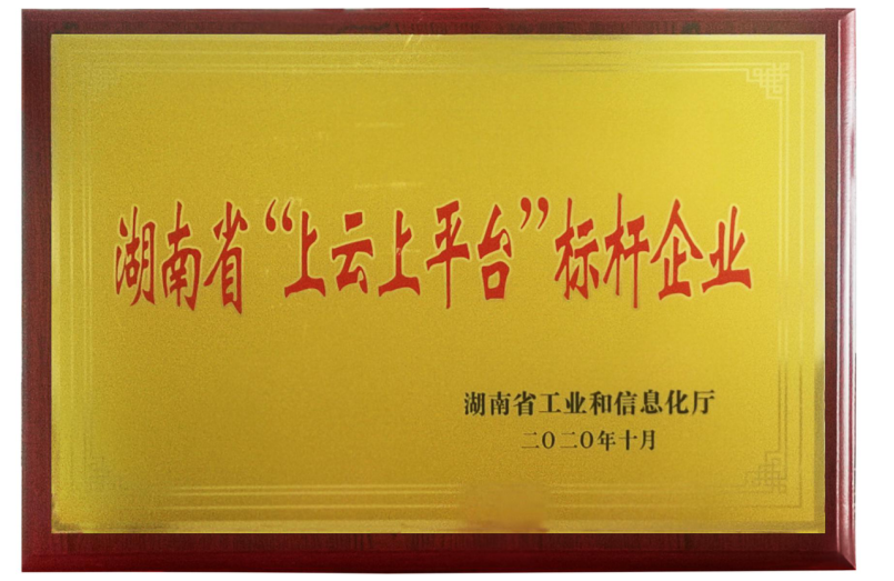 湖南省“上云上平臺”標桿企業(yè)