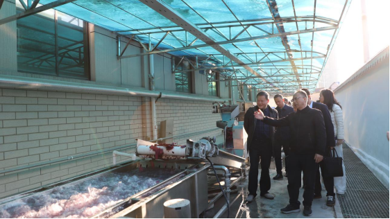 雙清區(qū)委書記曾秦偉帶隊走訪天香生物參觀調(diào)研，助力鄉(xiāng)村振興