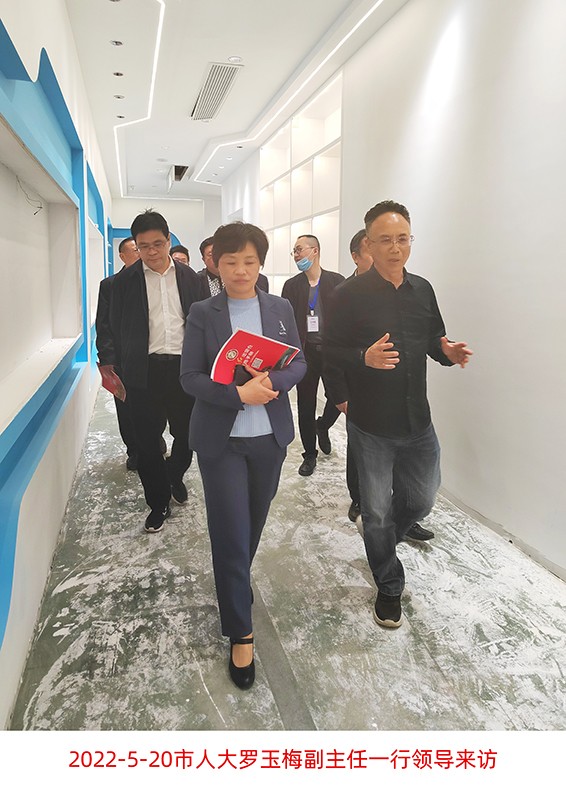 市人大羅玉梅副主任領導來訪